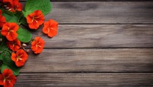 Nasturtium flowers on wooden background. Top view with copy space
