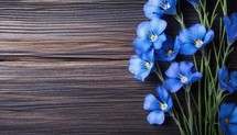 Blue flowers of flax on a wooden background. View from above.