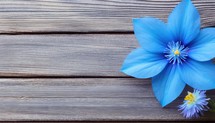 Blue flower on wooden background. Top view with copy space. Flat lay.