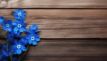Blue flowers on a wooden background. Place for your text. View from above.