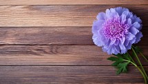 Purple peony flower on wooden background. Top view with copy space