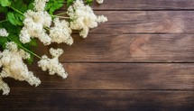 White flowers on a wooden background. Top view with copy space.