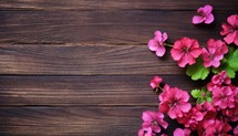 Geranium flowers on brown wooden background. Top view with copy space