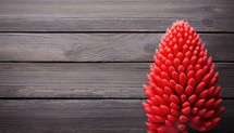 Red flower on wooden background. Top view. Copy space for text.