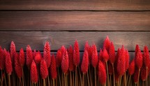 Red cockscomb flowers on wooden background. Top view with copy space