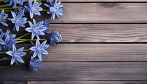 Blue hyacinth flowers on wooden background. Top view with copy space