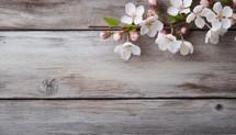 cherry blossom on wooden background, copy space for your text