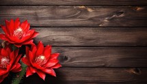 Red cactus flowers on wooden background with copy space for text.