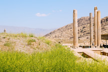 Iran persepolis ruins