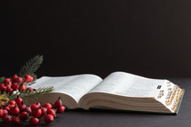 open Bible on a black background at Christmas 