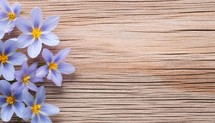 Spring crocus flowers on wooden background. Top view with copy space
