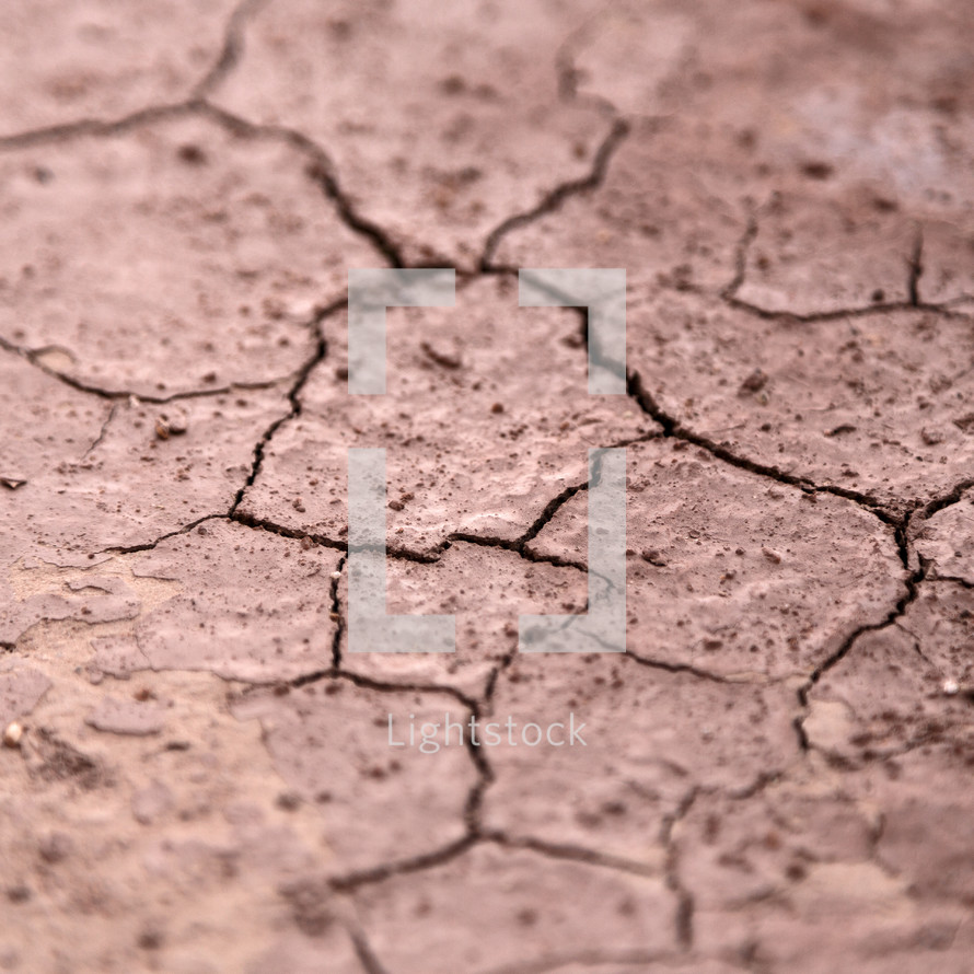 cracks in dry earth 