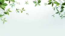 leaves surrounding a white background with copy space 