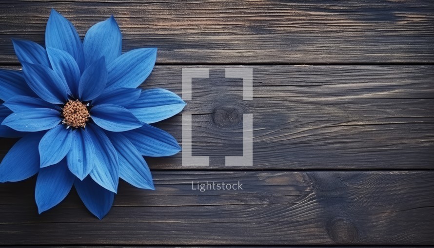 Blue flower on wooden background. Top view with copy space for your text.