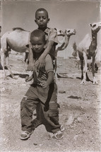 little boy standing with camels 