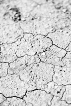 parched cracked ground 