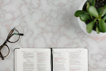 reading glasses, potted plant, and open Bible on a countertop 