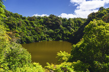 green pond surrounded by lush vegetation in Waimangu 