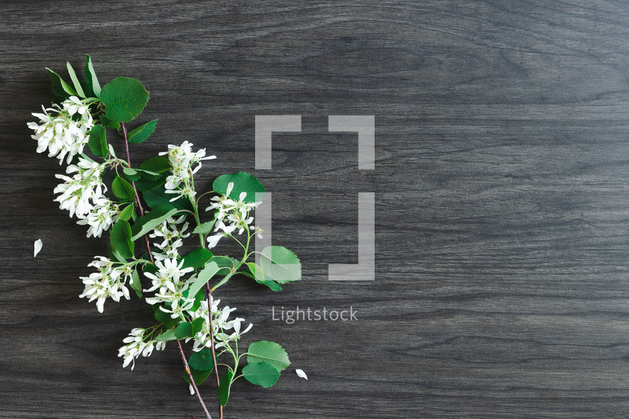 white flowers on black wood background 