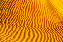 ripples in desert sand 