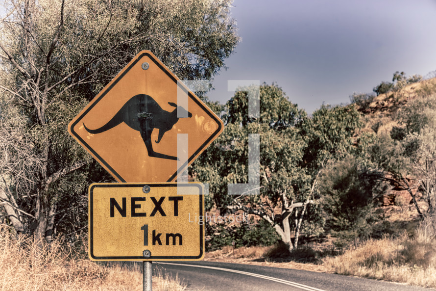 Kangaroo crossing sign 