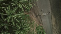 Aerial View Soldiers Running Through Asian Jungle River