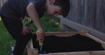 Young boy begins digging home garden in back yard - medium shot