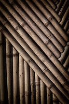bamboo wall background 