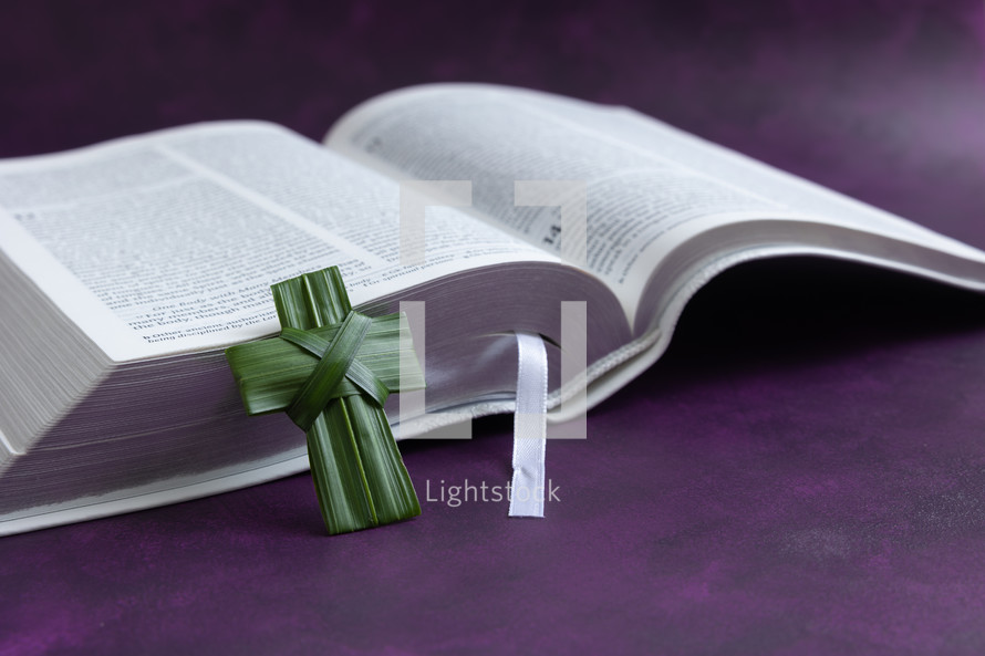 palm cross and open Bible 