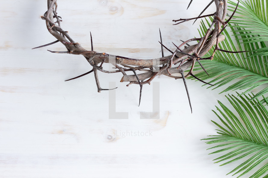 palm fronds and crown of thorns on a white background 