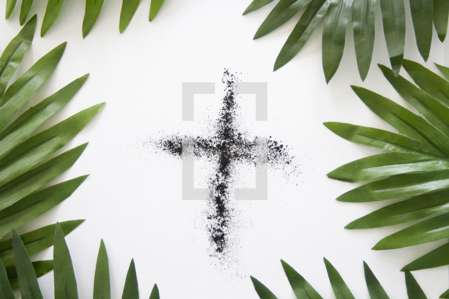 ashes in the shape of a cross and palm fronds 