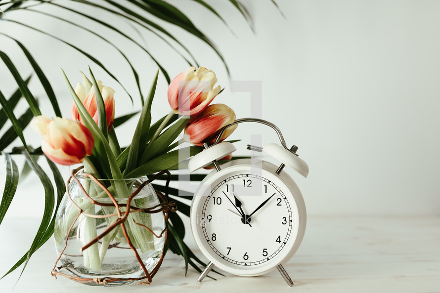 tulips in a vase and alarm clock 