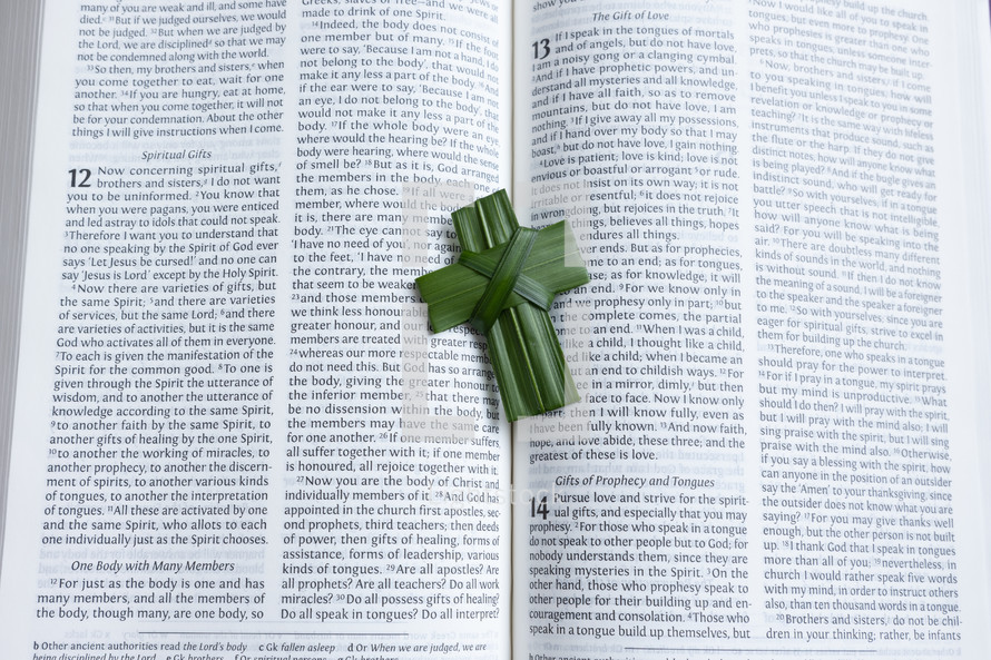 palm cross on the pages of a Bible 