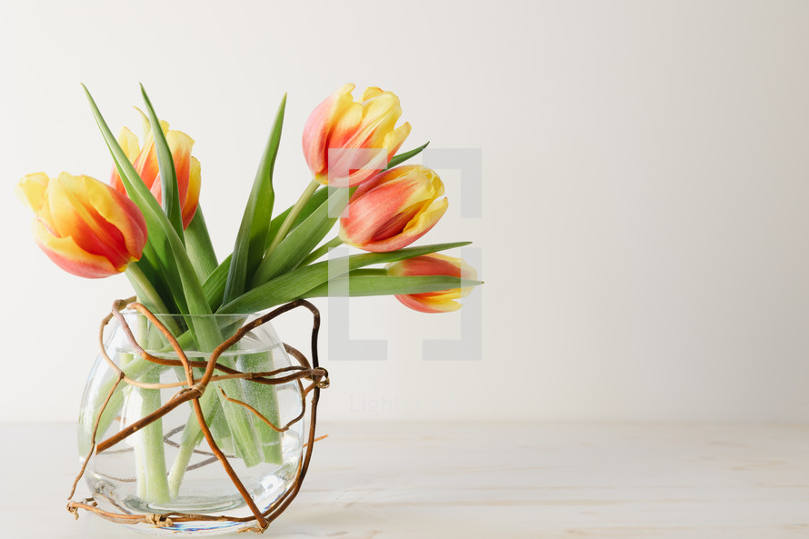vase of tulips on white 