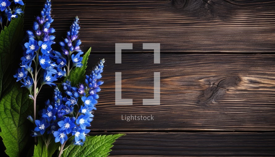 Blue flowers on a brown wooden background. Place for your text.