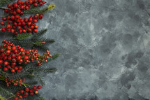 red berries on a gray background 