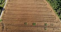 Aerial View Of Golden Wheat Crops At The Farmland During Harvest Season. drone pullback, tilt-up