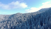 Aerial drone footage of sunlight through snowy, dense forest revealing hilly landscape.