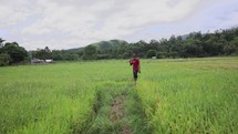 unrecognizable asian farmer preparing soil for rice