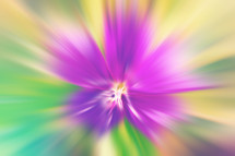 Colorful floral blur effect in pink, green, purple and yellow