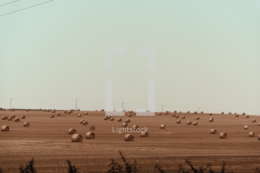 Farming and Agriculture, hay bales in a rural field, harvest farm setting