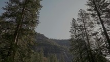 Sunlight in Yosemite Valley