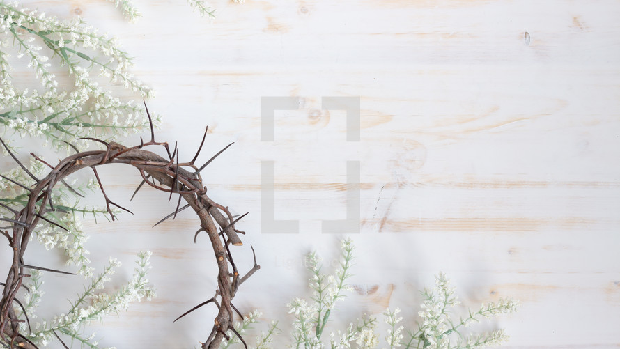 flowers and crown of thorns on a white background 