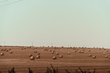 Farming and Agriculture, hay bales in a rural field, harvest farm setting