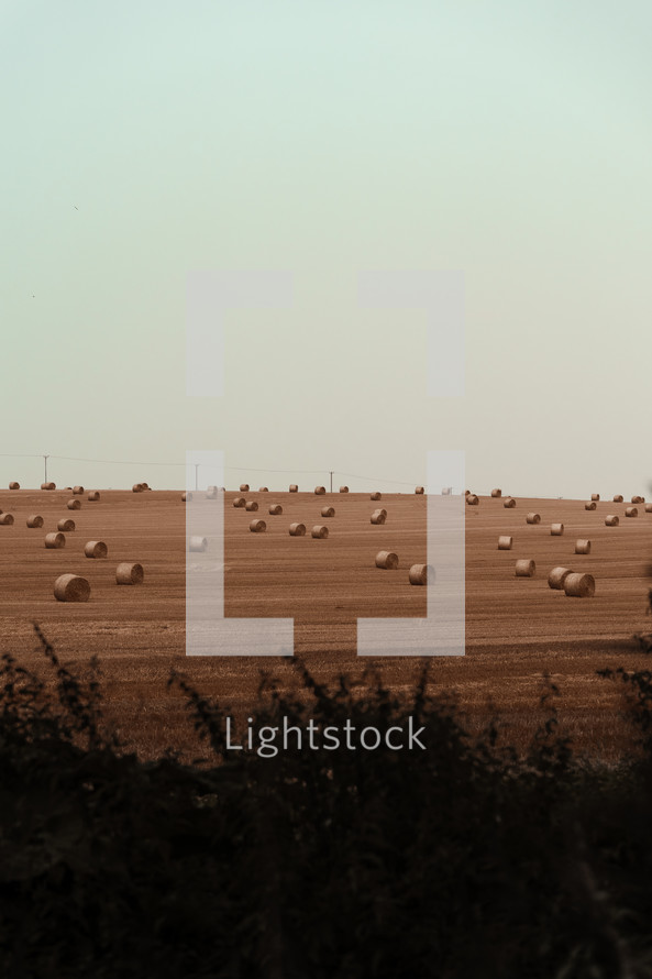 Farming and Agriculture, hay bales in a rural field, harvest farm setting