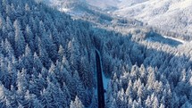 Aerial drone shot of road in a Winter Forest.