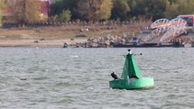 Cormorant Bird Perch On Green Sea Mark Buoy With Seagull Swimming At Danube River. - close up