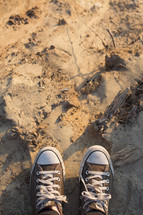converse sneakers standing in sand 