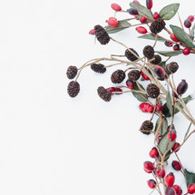 pine cones and berries in the snow