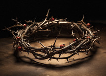 Photo of a crown of thorns